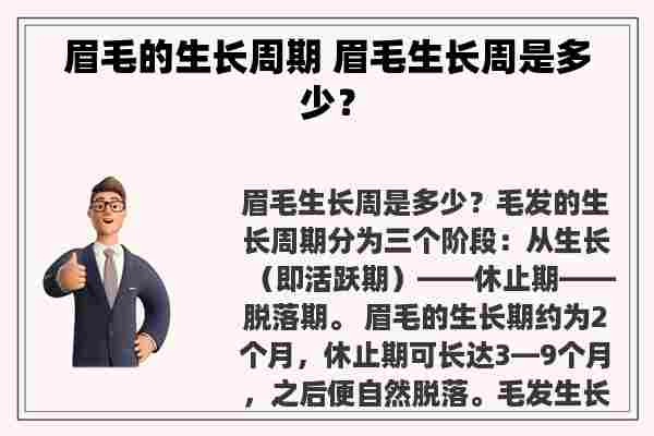 眉毛的生长周期 眉毛生长周是多少？